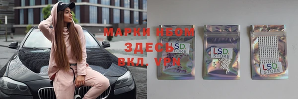 ешки Гусь-Хрустальный