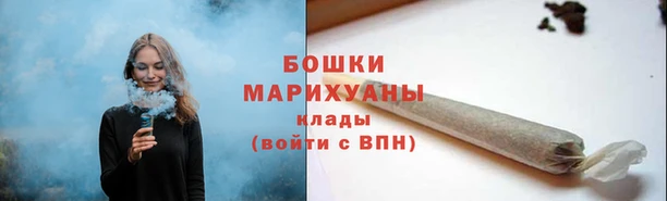 ешки Гусь-Хрустальный