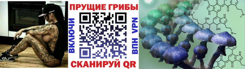 Галлюциногенные грибы Psilocybe  Купить  Железногорск-Илимский 